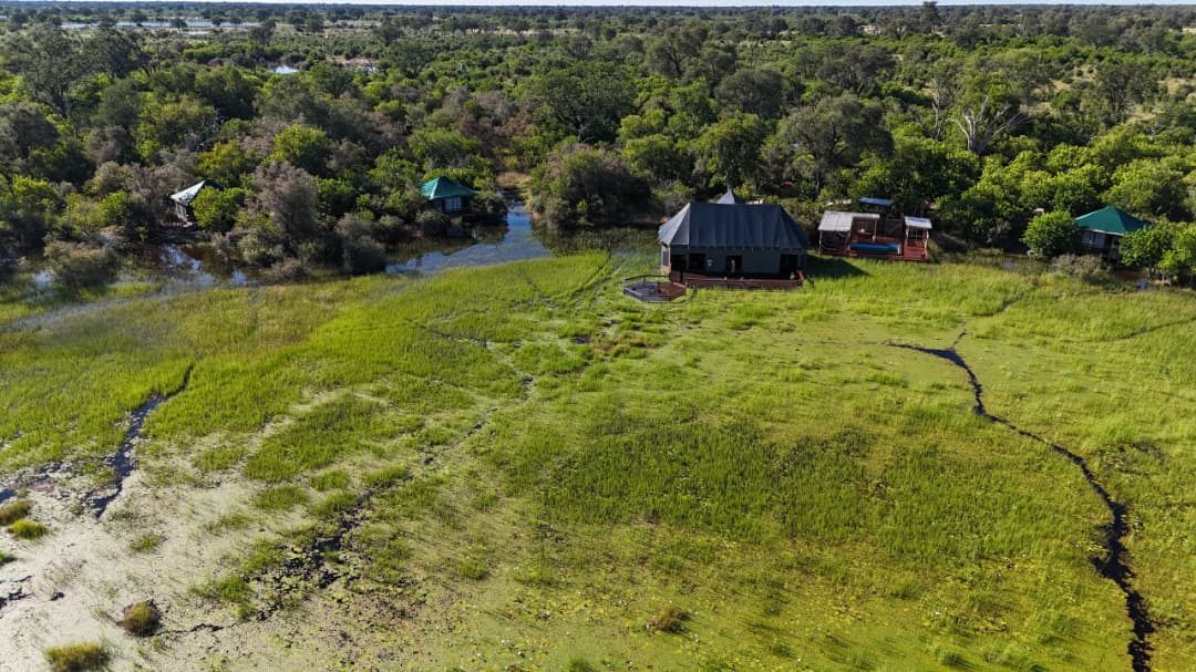 Safari camp from above