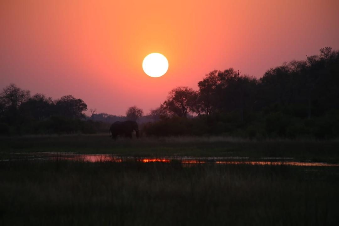 Botswana safari sunset